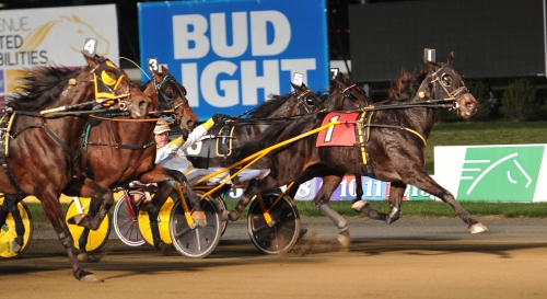 Årets Häst avstår Elitloppet