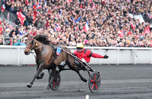 Femtespår för Bold Eagle