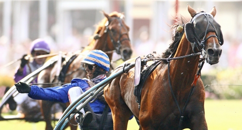 Här hittar ni helgens travtips!