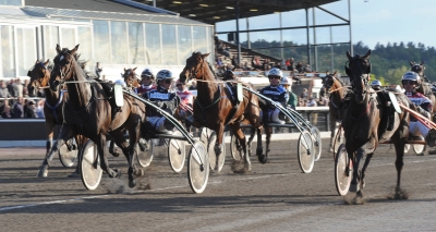 Dalecarlia Stables förstärker med kvartett