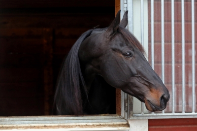 Första segern för Oasis Bi-bror