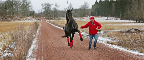 Så går det för bronsvinnare i silver