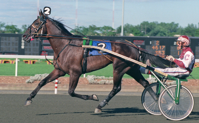 Pine Chips blod lever vidare