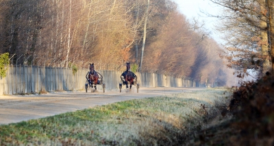 Första Frankrike-vinsten för Scellino Luis