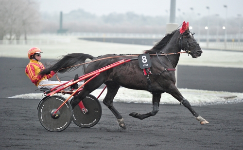 Segergest som vinnare nu?