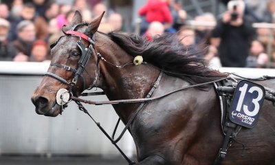 Norrländsk optimism kring Mastersfinalen