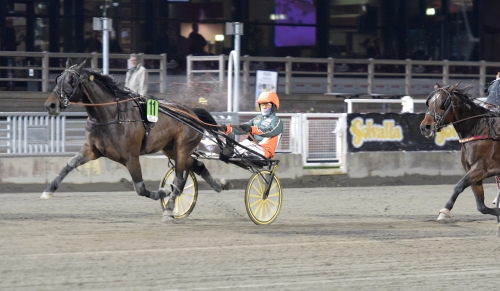 Ungt och fräscht på Solvalla