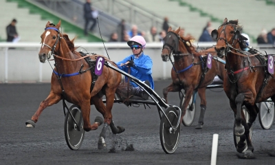 Guaratos perfekta genrep