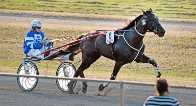 Svenskhopp down under