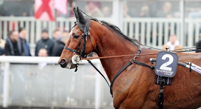 Svensktränat mot fransk topp