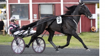 El Mago Pellini till Västerbo