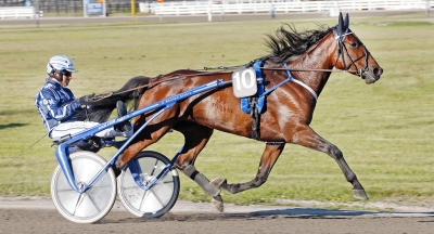 ”Hon hade gett upp”