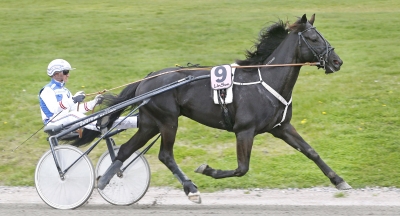 Fynd bakom sårbara favoriter