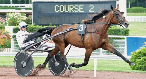 Nephenta Lux till Bold Eagle