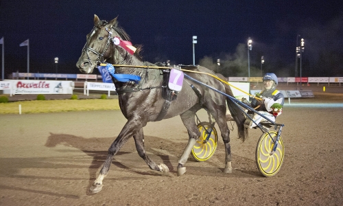 Nuncio startar på Solvalla