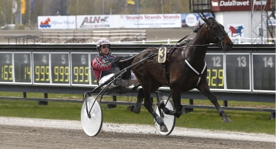 Obesegrad till Årets tränare