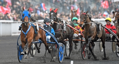 Timoko – en världstravare!