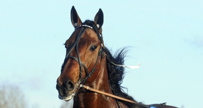 Ohlsson i favoritposition