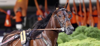 D.D.’s Hitman till Bjerke