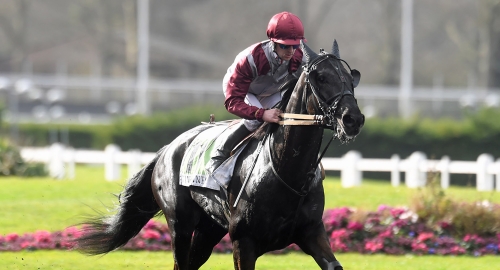 Montéstjärna fortsatt obesegrad