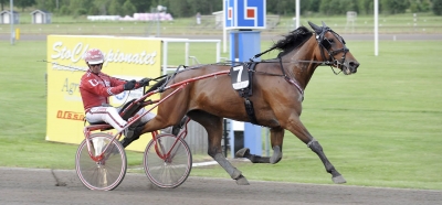 Fabrica dyrast av fölstona