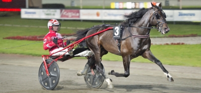 Unghäststjärnor tillbaka på banan