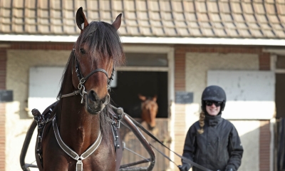 Finnkampen i Mikkeli