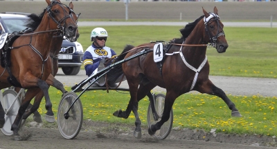 Mr Picolit slutar tävla