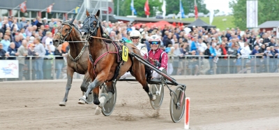 Auktionsdyringar i farten