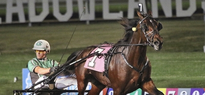 USA-hästarna som ”slåss” om en Elitloppsbiljett