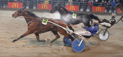 Hästar lämnar Skårnes stall