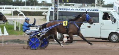 Timoko till Lotterian