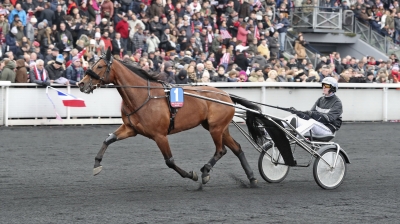 Så spelar vi V75 till Halmstad