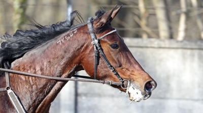 Franska förberedelser
