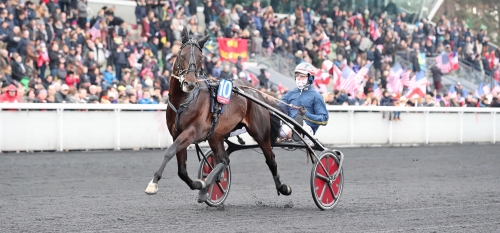 Bird Parker-sto dyrast i Holland