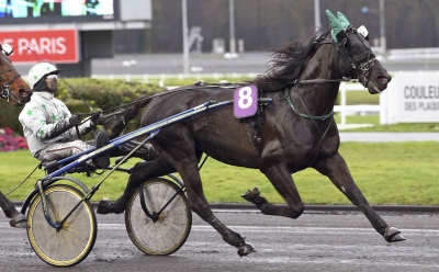 Black d’Avril klar för Olympiatravet