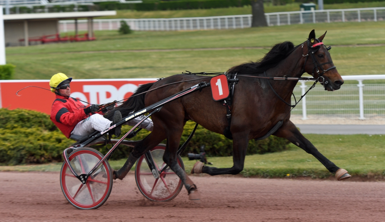 Bold Eagle är favorit att vinna Elitloppet. Foto: Gerard Forni