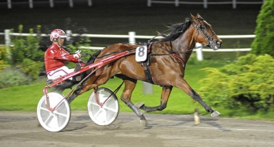 Niky behöver ingen flax