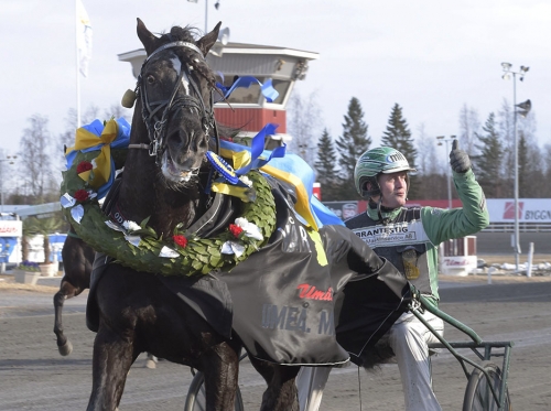 Odin Tabac till avel