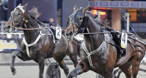 Bra årsdebut av Tobin Kronos