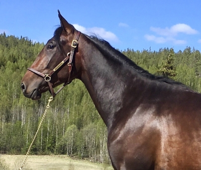 Båth-tvååring jobbade 1.18