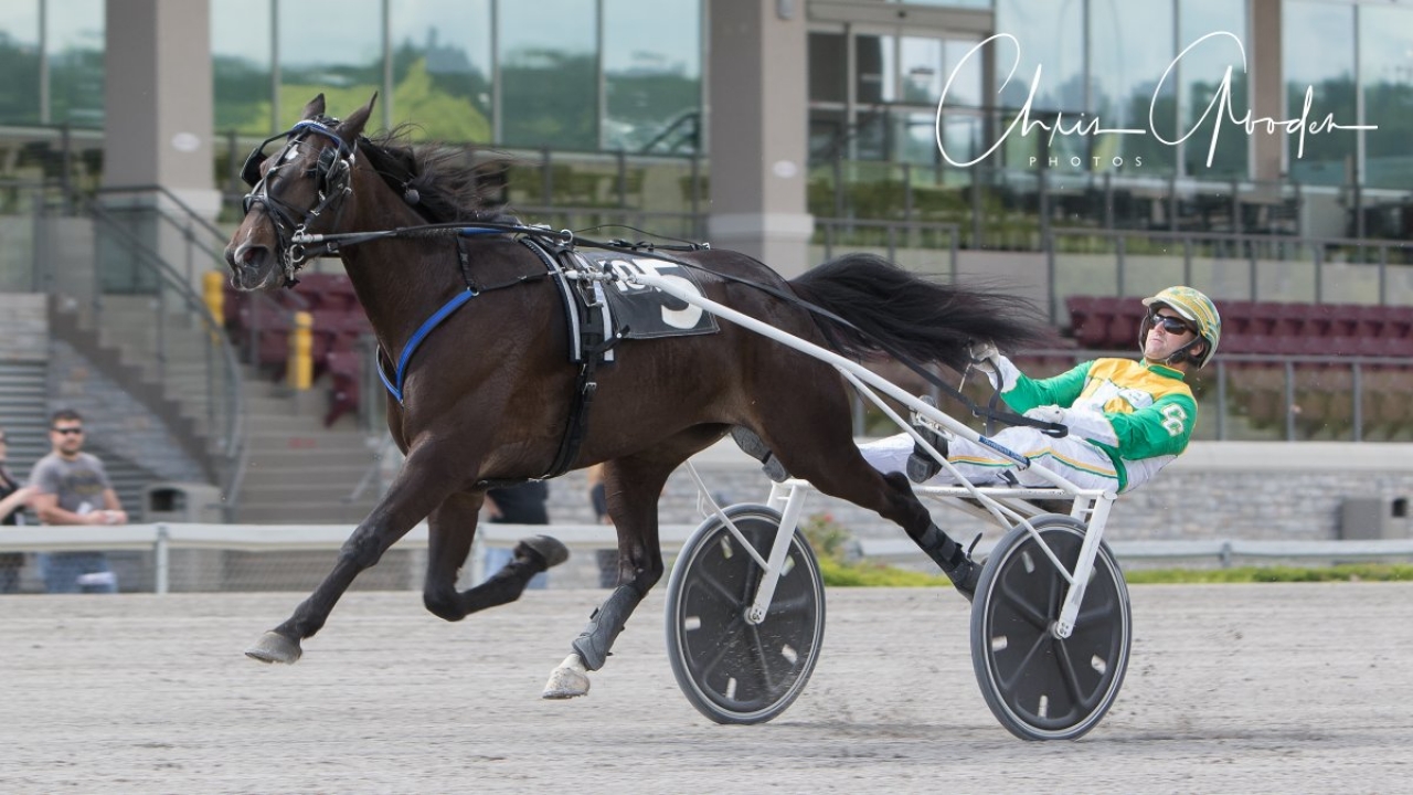 Fine Tuned Lady inledde säsongen på bästa sätt för Corey Callahan. Foto Chris Gooden