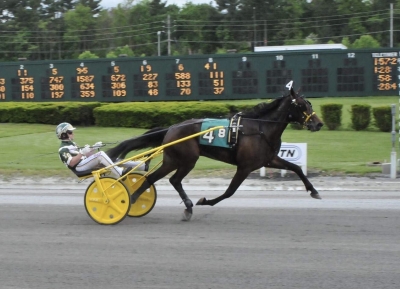 Lekstuga för Princess Aurora