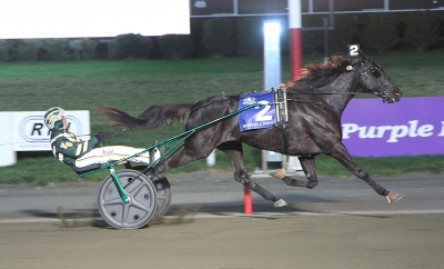 Hannelore borta från Elitloppet!