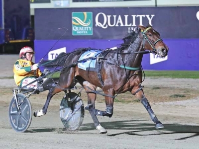 Australiensk toppkusk till Sverige