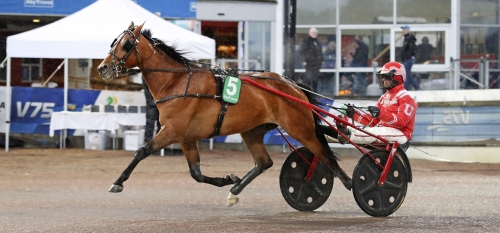 V75: 28 miljoner extra i potten