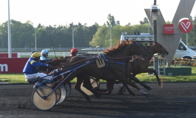 Oslagbare Aubrion du Gers