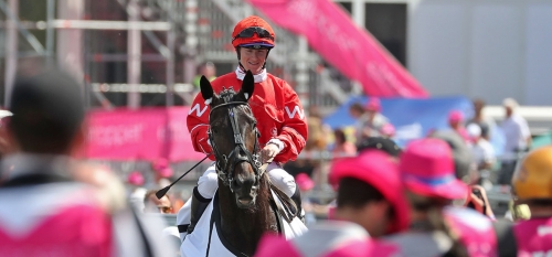 Italienskt i Montéeliten