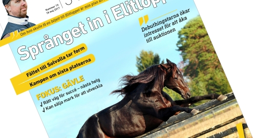 Sulkysport nummer 10