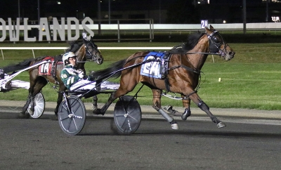 Svensktätt på Meadowlands